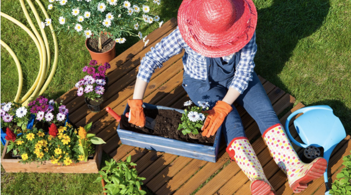 Wat moet er deze maand gebeuren in de tuin?