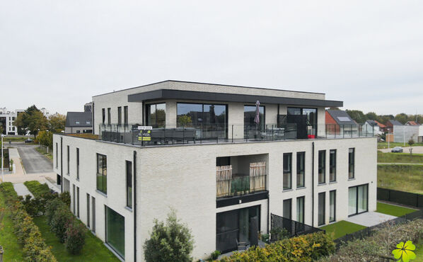 In het bruisende hart van Hasselt, in de prachtige residentie Groenpark, vindt u dit elegante appartement dat in 2019 is gebouwd. Met een ruime bewoonbare oppervlakte van 120m2 biedt dit appartement alles wat u nodig heeft voor comfortabel wonen.

Dit mod